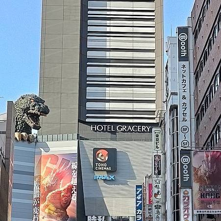 TOKYO -MT FUJI